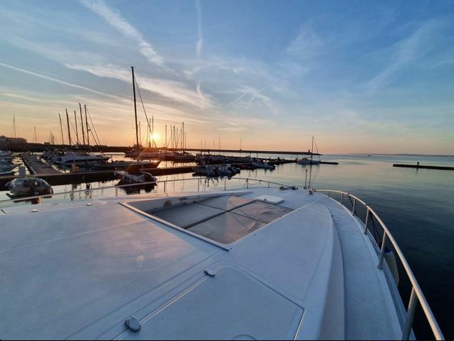 Leopard 23 | Cheetah