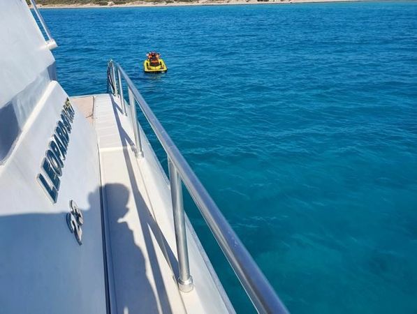 Leopard 23 | Cheetah