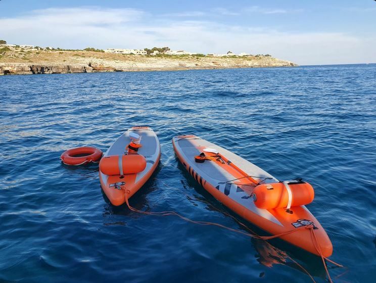 Leopard 23 | Cheetah