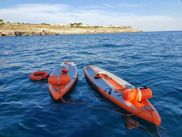 Leopard 23 | Cheetah