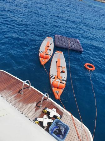 Leopard 23 | Cheetah