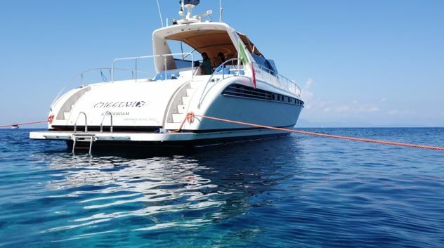 Leopard 23 | Cheetah