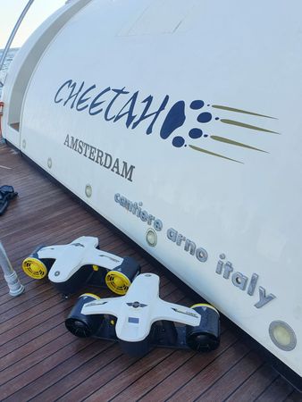 Leopard 23 | Cheetah