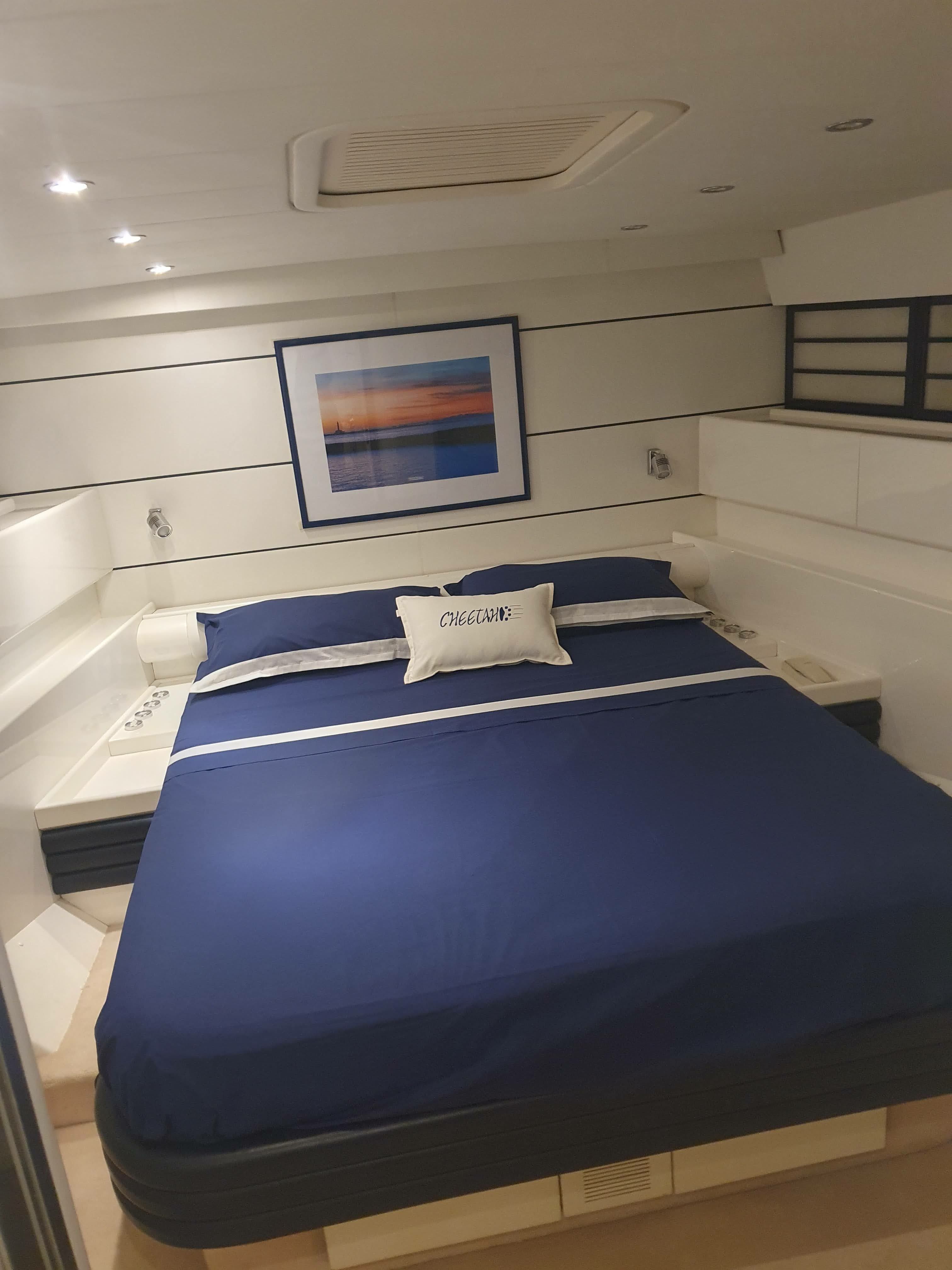 Leopard 23 | Cheetah