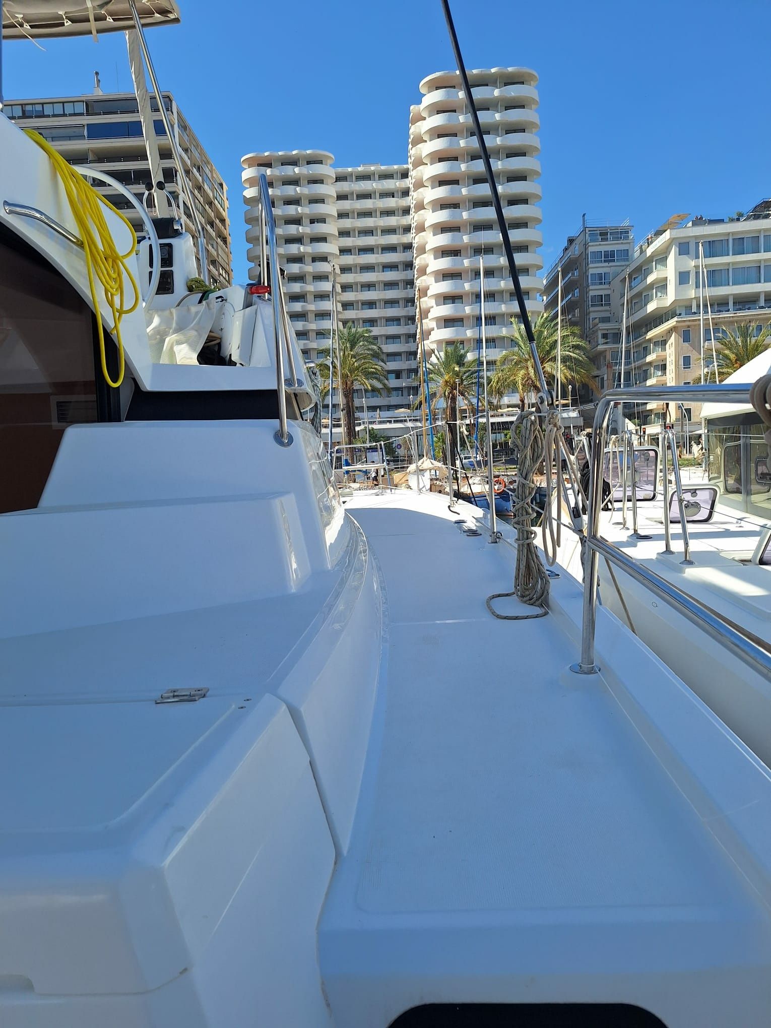 Bali Catspace | Alibi