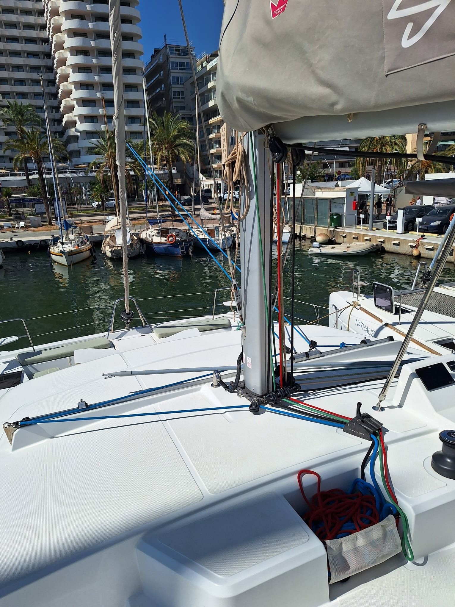 Bali Catspace | Alibi