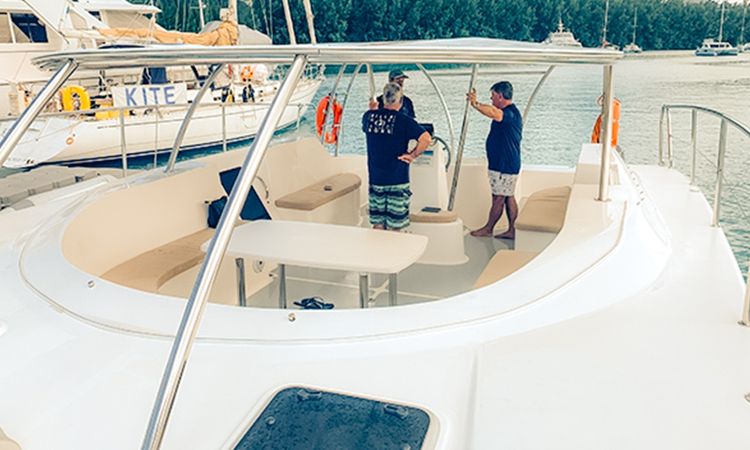 Rayvin 330 | Y-Knot 2