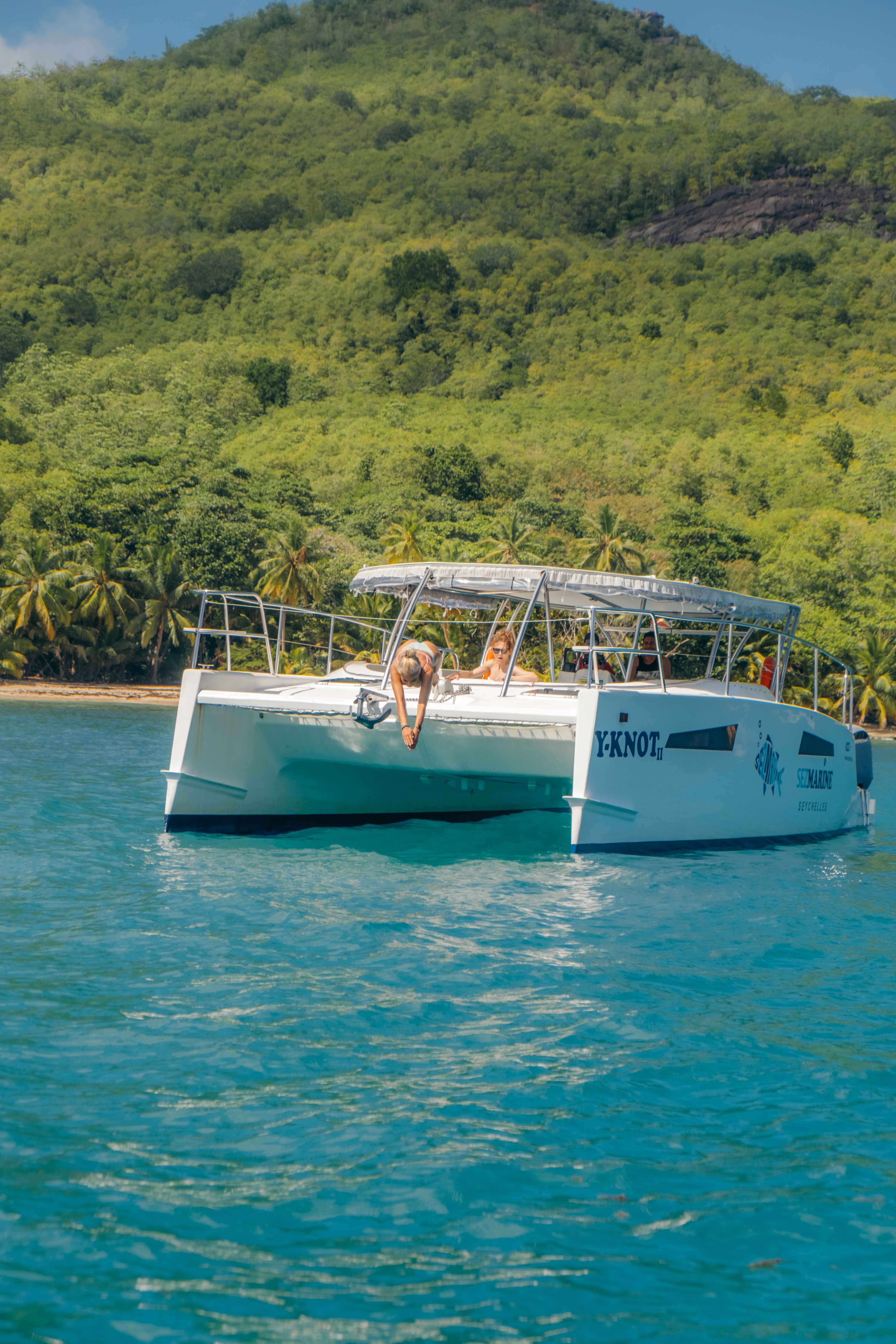 Rayvin 330 | Y-Knot 2