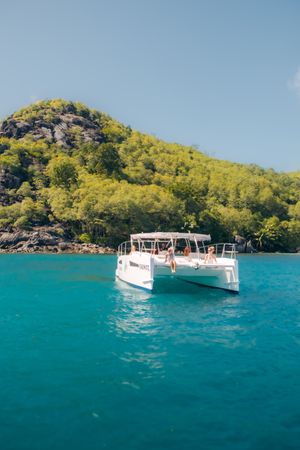 Rayvin 330 | Y-Knot 2