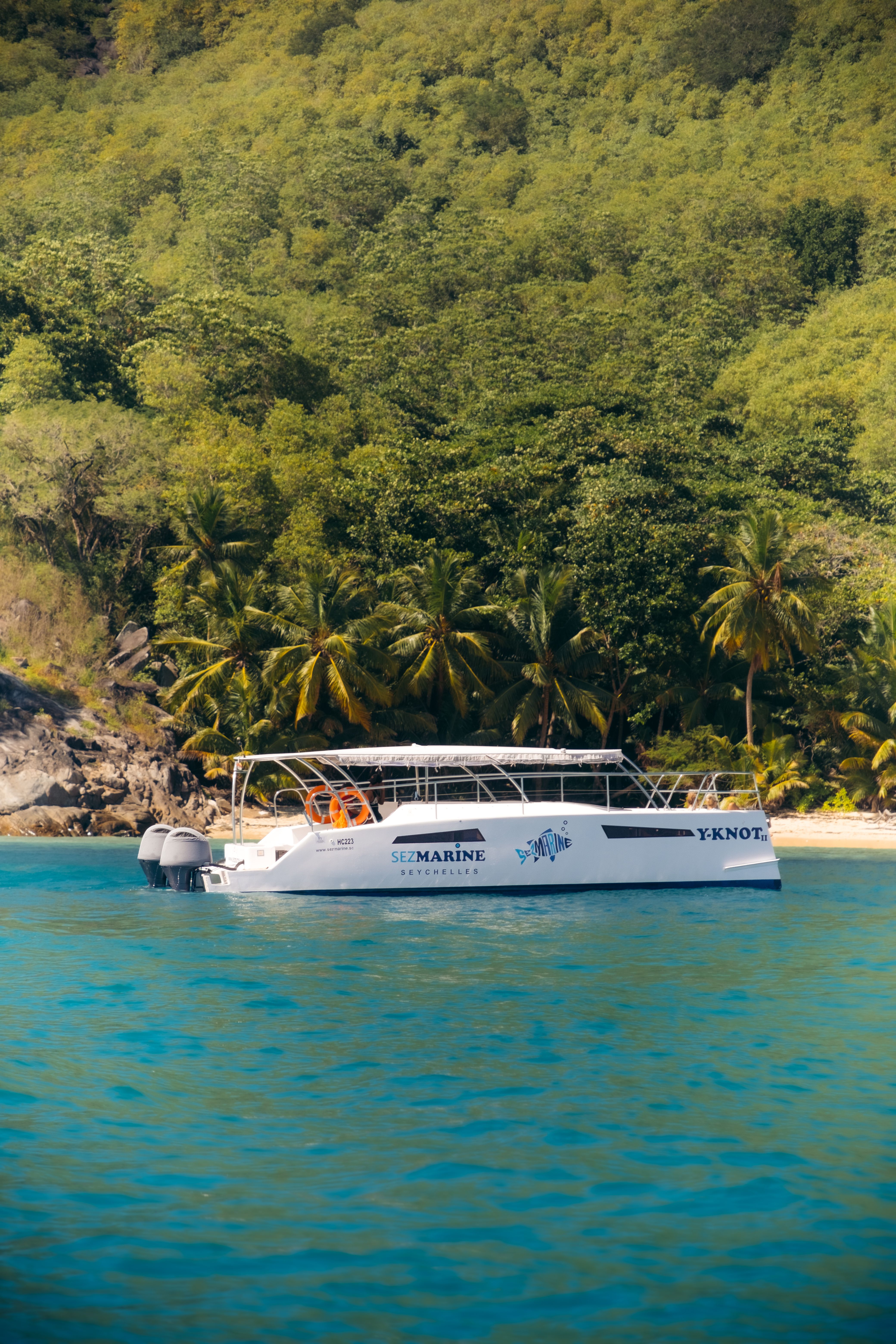 Rayvin 330 | Y-Knot 2