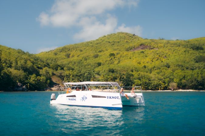 Rayvin 330 | Y-Knot 2