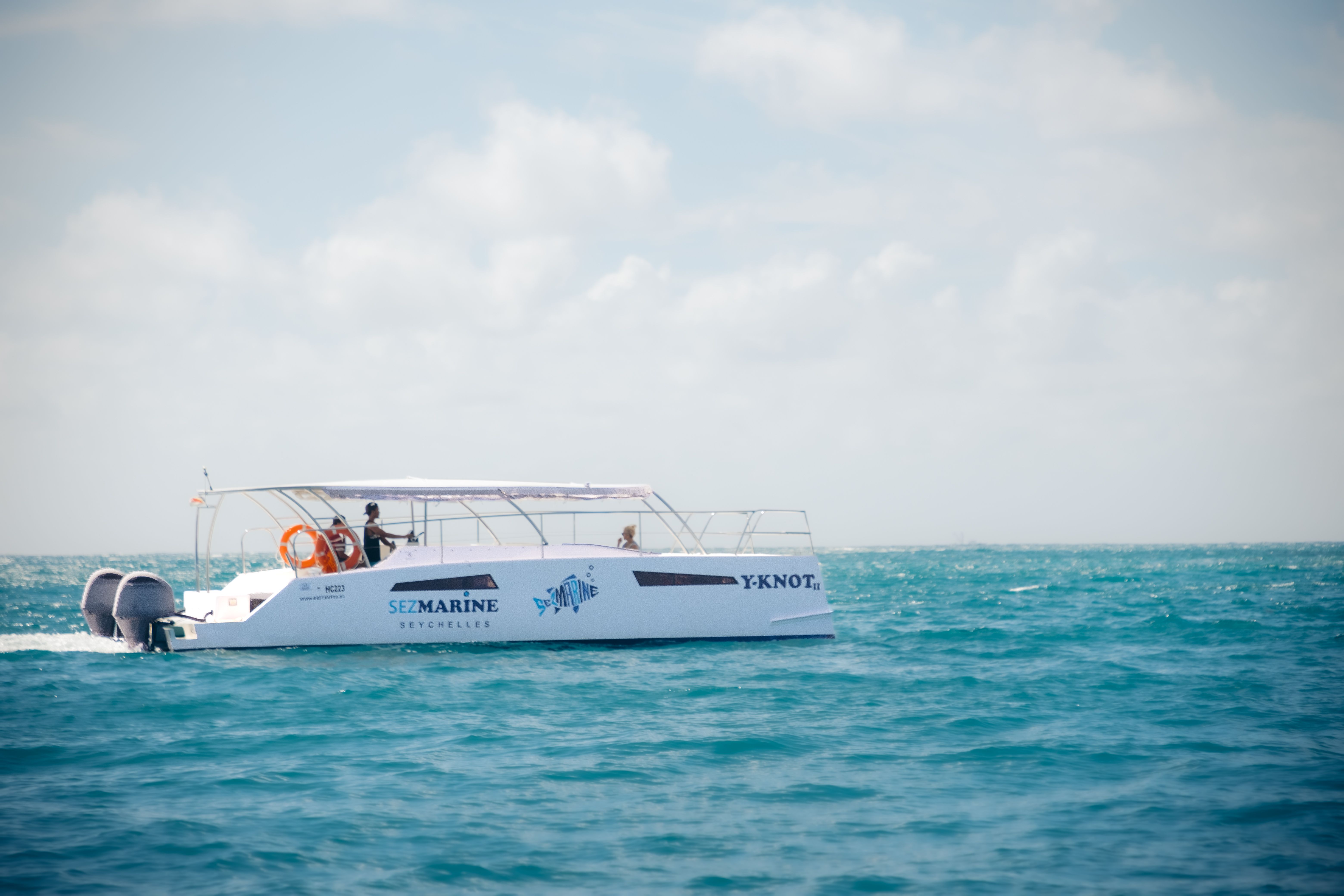 Rayvin 330 | Y-Knot 2