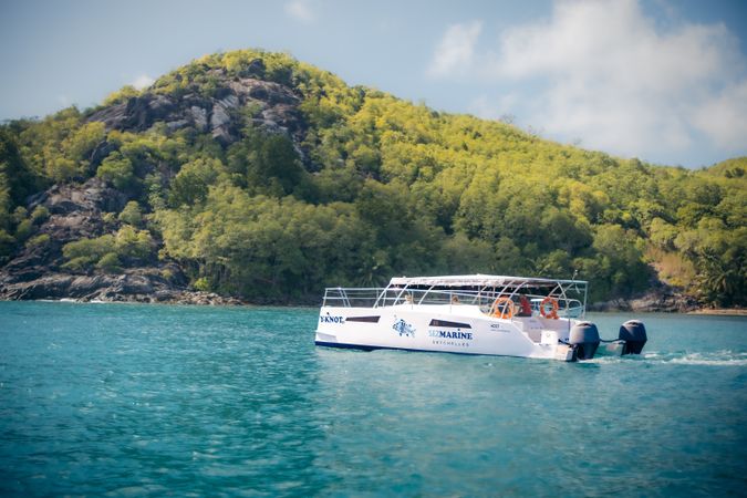 Rayvin 330 | Y-Knot 2