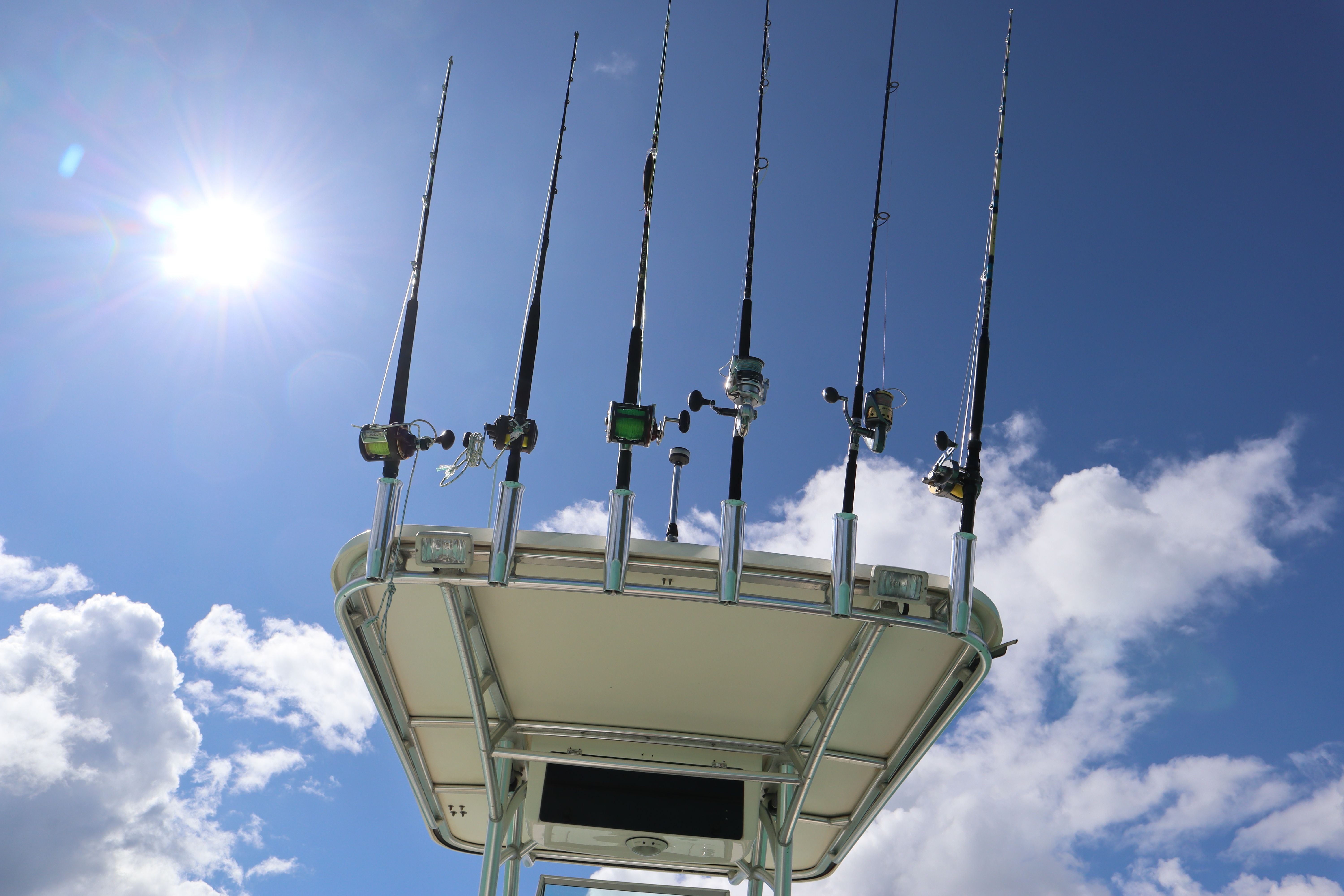 World Cat 280 | El-shaddai