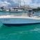 World Cat 280 | El-shaddai