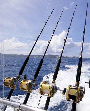 Palmer Johnson 136 | Royalty