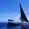 Dufour 56 | Albus