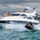 Sunseeker Manhattan 74 | Giuli