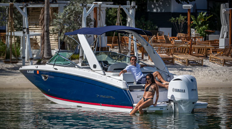 Regal 2700 | Blue Regal