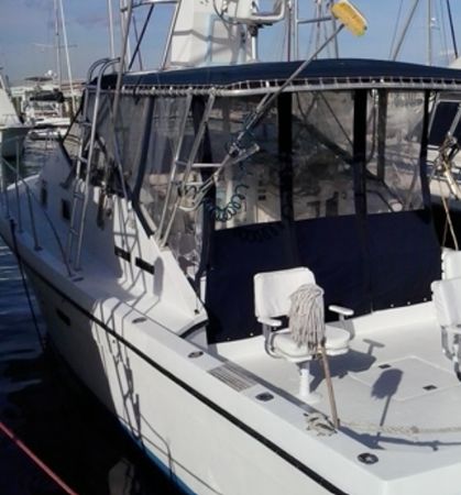 Defender 38 | Strike Zone