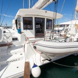 Bali Catsmart | Ohana 2