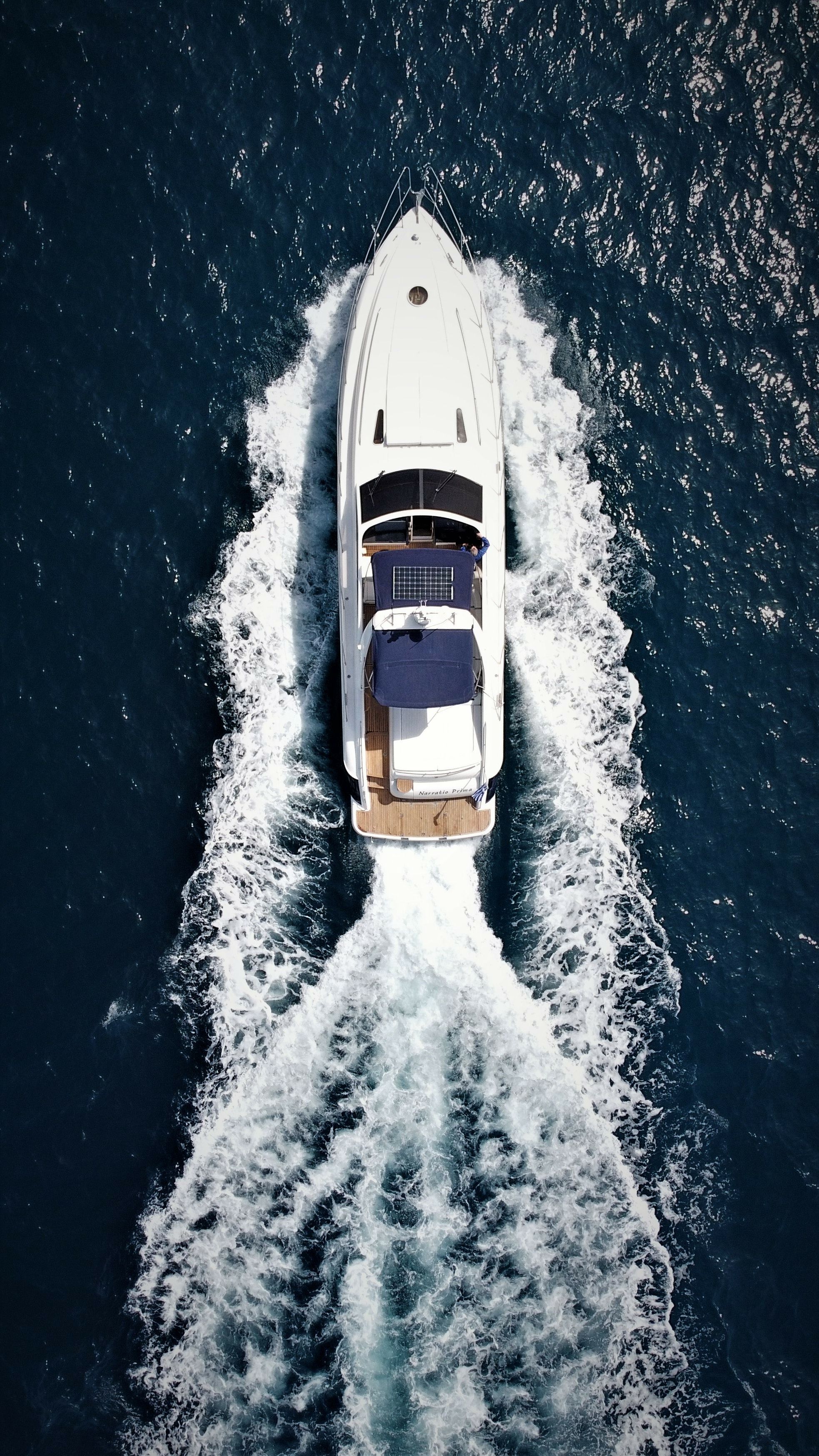 Princess V55 | Whale Tale