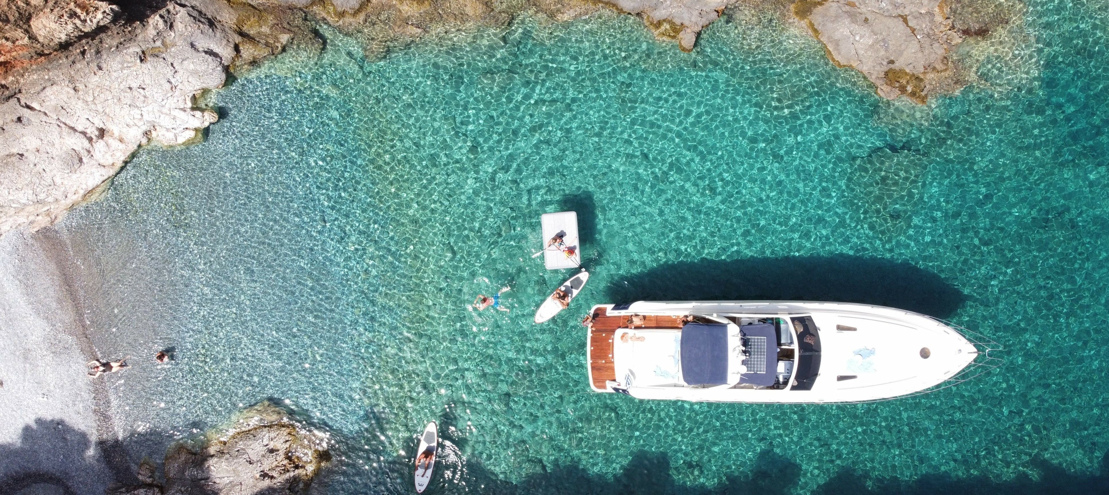 Princess V55 | Whale Tale