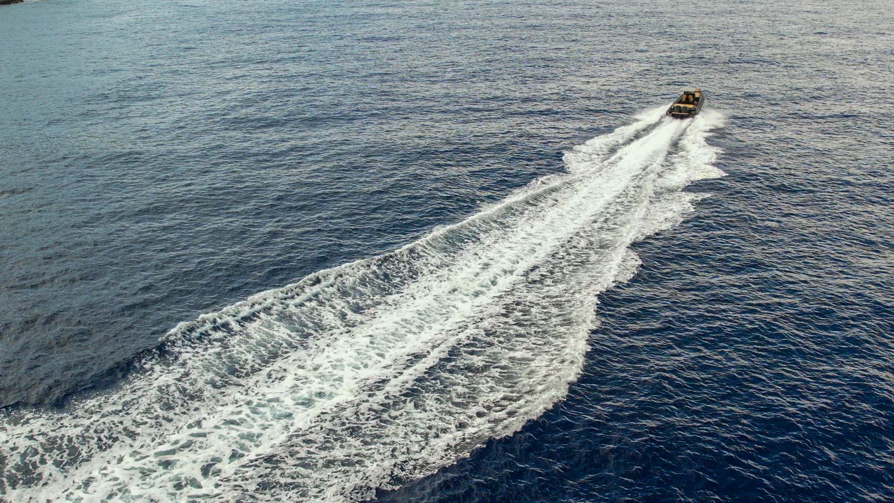 Viper Magnum | Agrimi 2