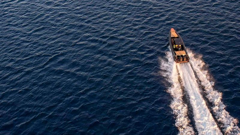 Viper Magnum | Agrimi 2