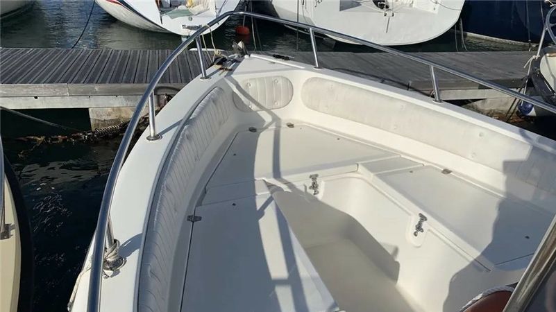 VTR Lady 550 | Lady 3