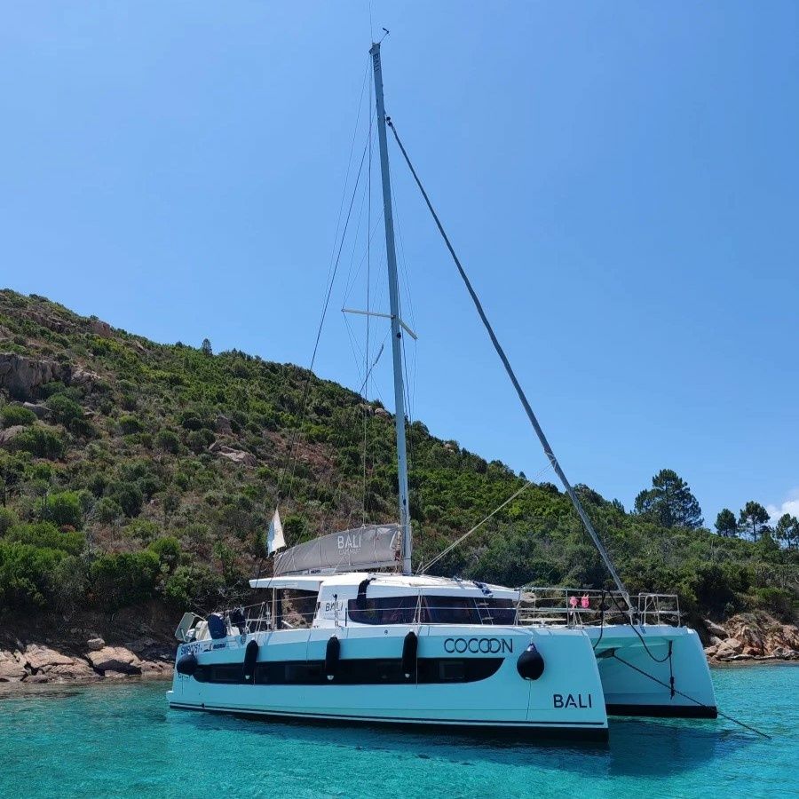 Bali Catsmart | Cocoon