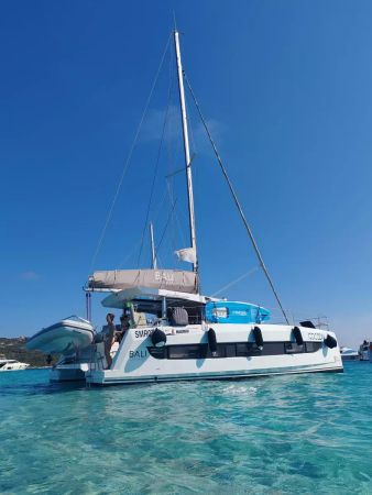 Bali Catsmart | Cocoon