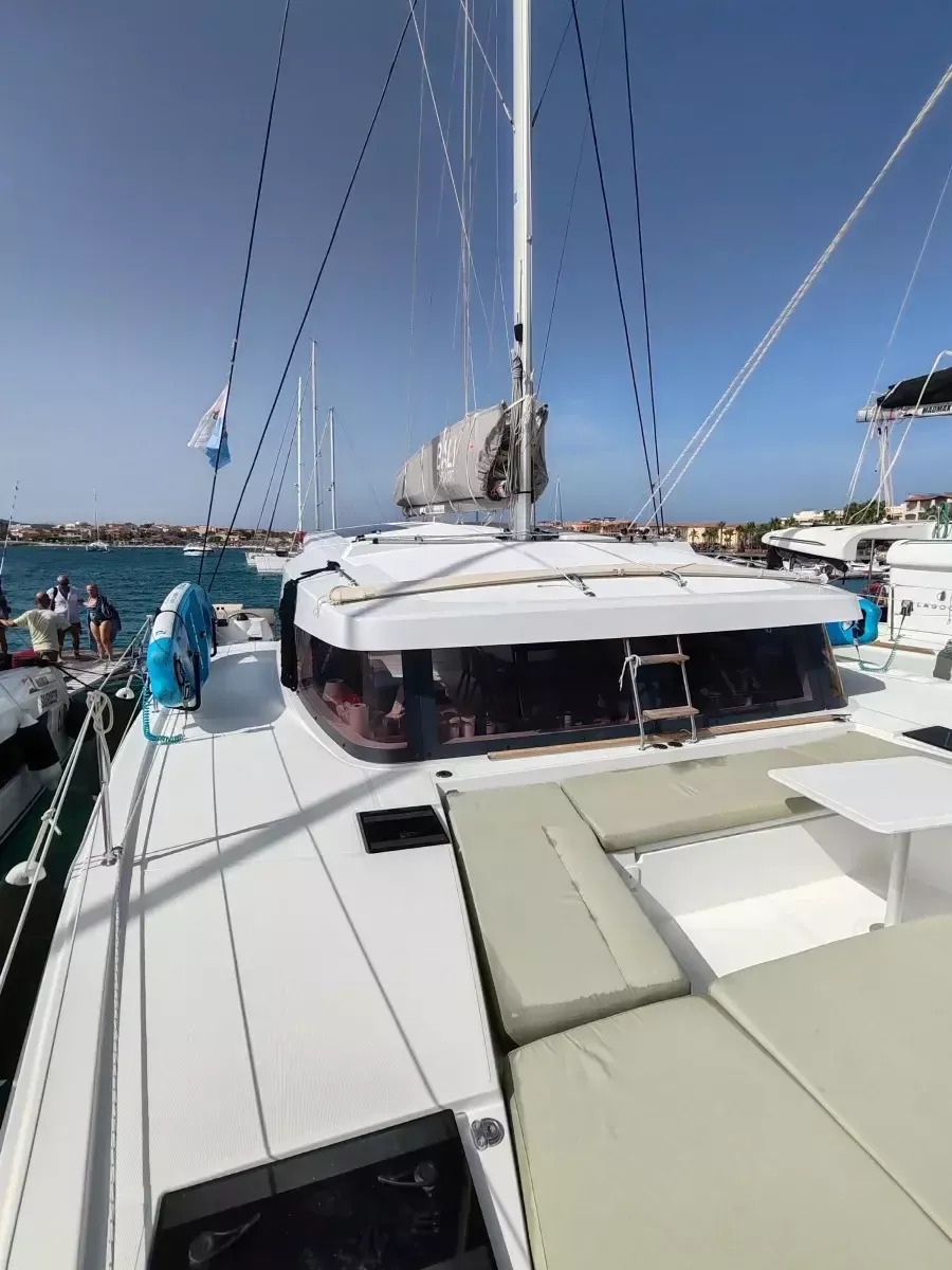 Bali Catsmart | Cocoon