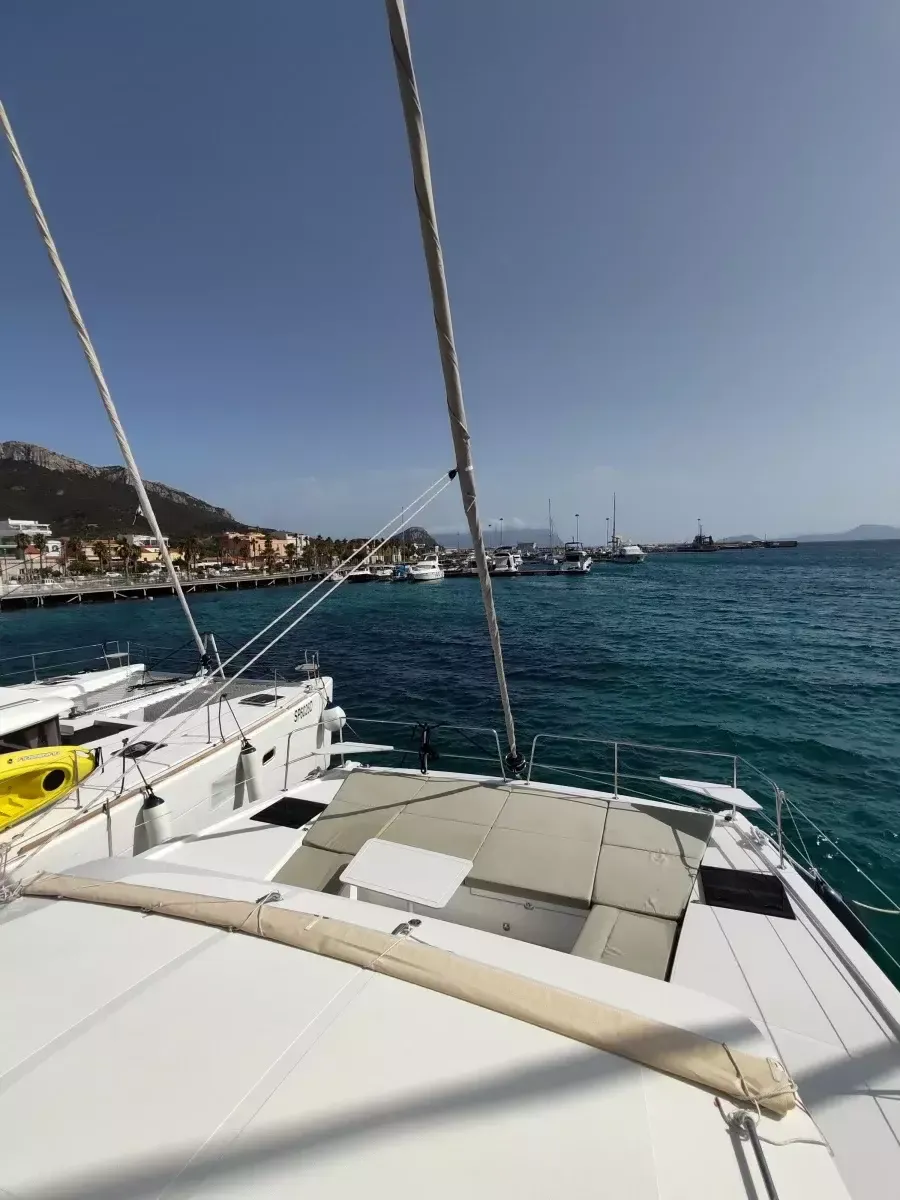 Bali Catsmart | Cocoon