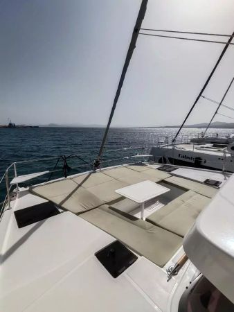 Bali Catsmart | Cocoon