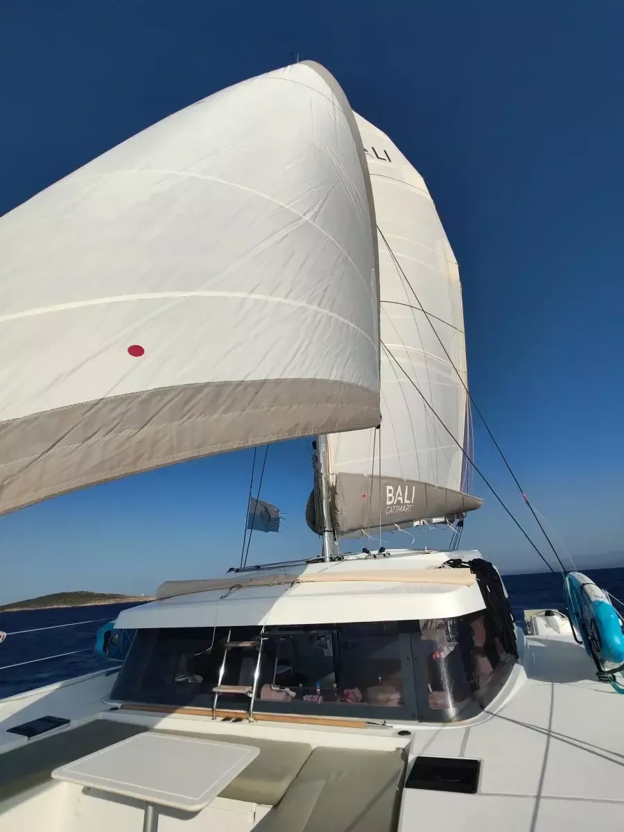 Bali Catsmart | Cocoon