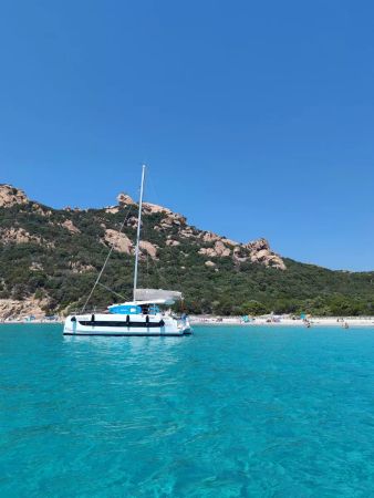 Bali Catsmart | Cocoon