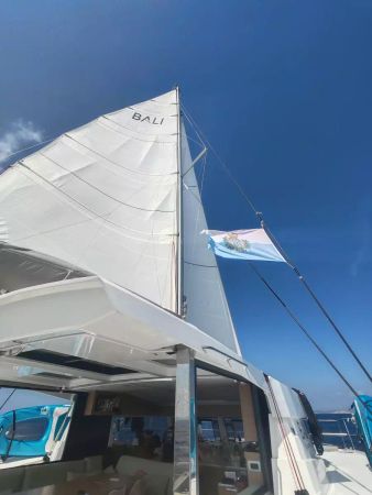 Bali Catsmart | Cocoon