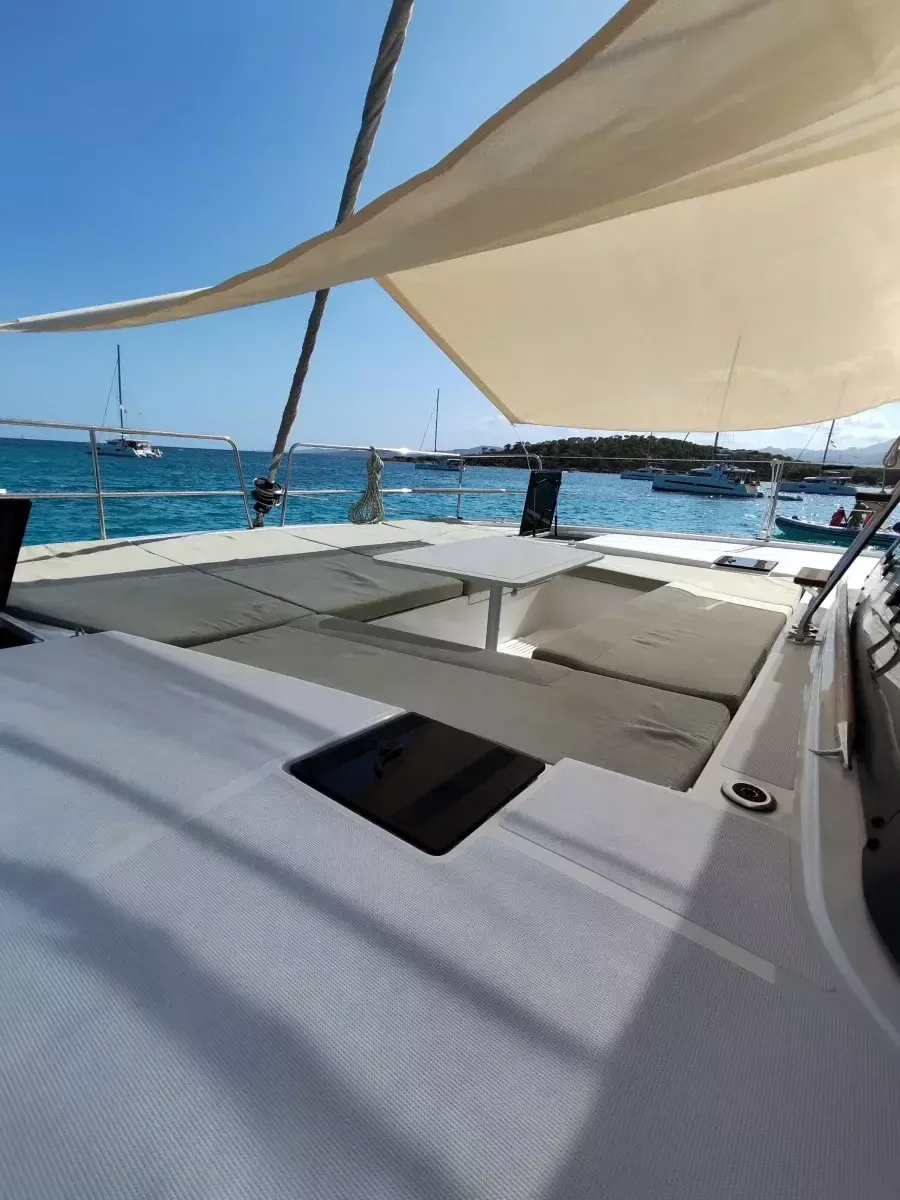 Bali Catsmart | Cocoon