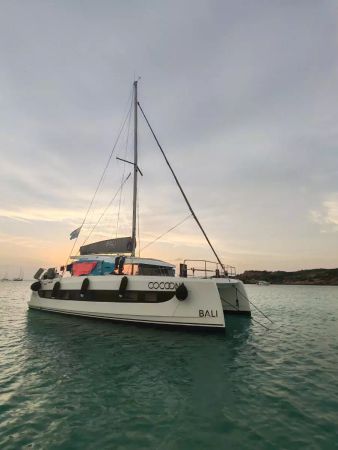 Bali Catsmart | Cocoon