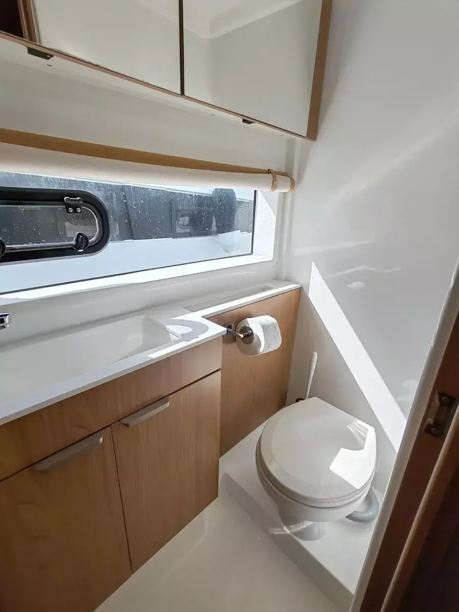 Bali Catsmart | Cocoon