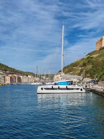 Bali Catsmart | Cocoon