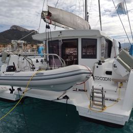 Bali Catsmart | Cocoon