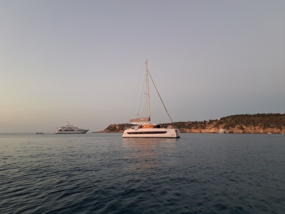 Bali Catsmart | Dortoka*