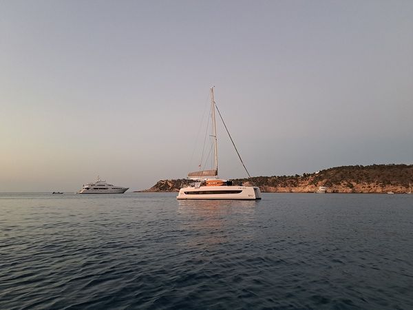 Bali Catsmart | Dortoka*