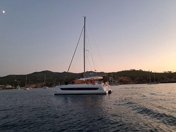 Bali Catsmart | Dortoka*