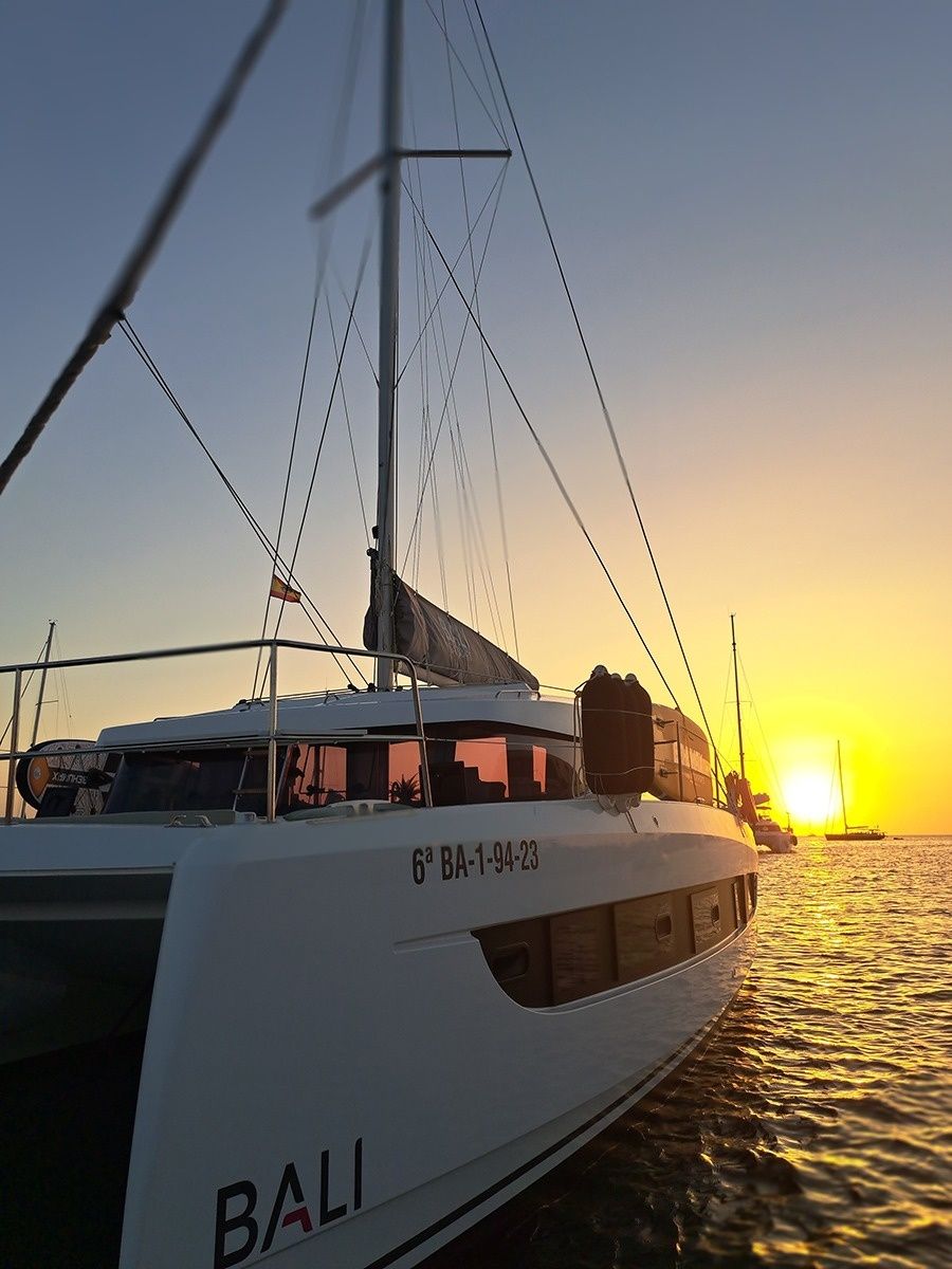 Bali Catsmart | Dortoka*