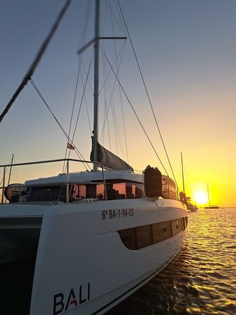 Bali Catsmart | Dortoka*