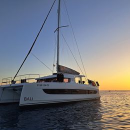 Bali Catsmart | Dortoka