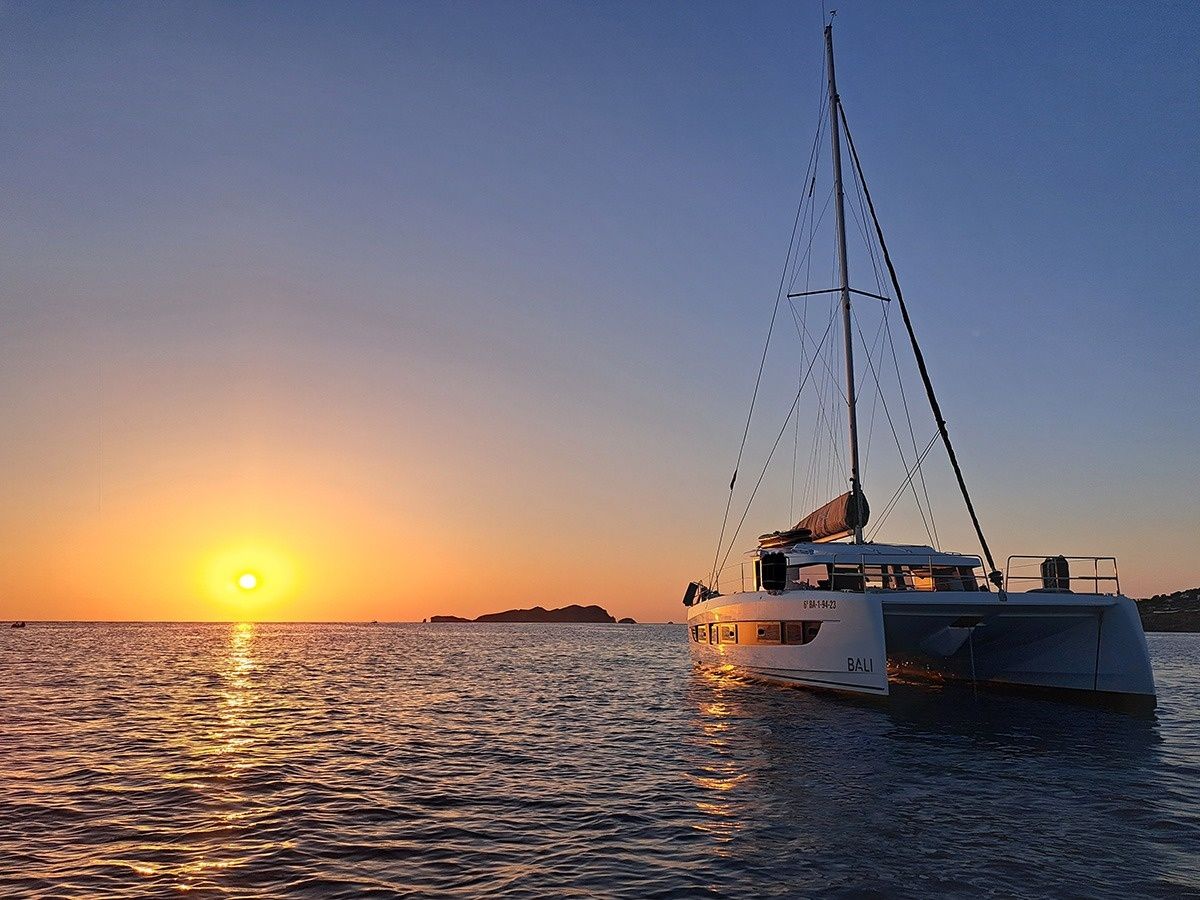 Bali Catsmart | Dortoka*